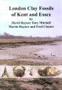 London Clay Fossils of Kent and Essex