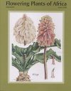 Flowering Plants of Africa, Volume 61: Plates 2241-2260
