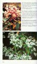 A Field Guide to Tropical Plants of Asia