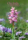 The Orchids of Ireland