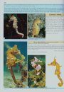 Seahorses and their Relatives