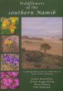 Wildflowers of the Southern Namib