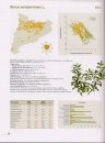 Atles de Plantes Llenyoses dels Boscos de Catalunya [Atlas of Woody Plants of Catalonian Forests]