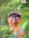 The Red Colobus Monkeys