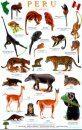 Peru Mammals Guide / Mamiferos