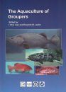 The Aquaculture of Groupers