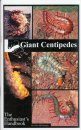 Giant Centipedes