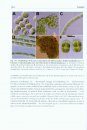 Syllabus of Plant Families, Volume 2/1: Photoautotrophic Eukaryotic Algae