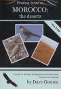 Finding Birds in Morocco: The Deserts - DVD (Region 2)