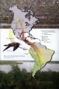 Important Bird Areas of the Americas
