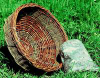 Schwegler Nesting Baskets for Large Birds