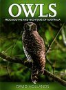Owls, Frogmouths and Nightjars of Australia