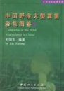 Color Atlas of the Wild Macrofungi in China (1) [Chinese]