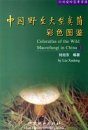 Color Atlas of the Wild Macrofungi in China (2) [Chinese]