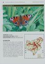 Butterfly Atlas of the Scottish Borders