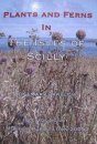 Checklist of Flowering Plants and Ferns in the Isles of Scilly