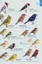 Field Guide Buenos Aires / Guía de Campo Buenos Aires