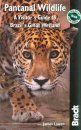 Bradt Wildlife Guide: Pantanal Wildlife