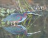 Birds of the Pantanal / Aves do Pantanal