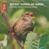 Secret Songs of Birds