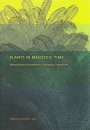 Plants in Mesozoic Time