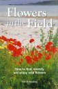 Flowers in the Field