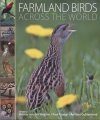 Farmland Birds Across the World