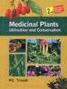 Medicinal Plants: Utilisation and Conservation