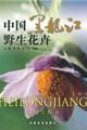 Wild Flowers in Heilongjiang China [Chinese]