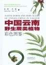 Native Ferns and Fern Allies of Yunnan China in Colour [English / Chinese]