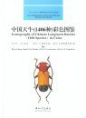 Iconography of Chinese Longicorn Beetles: (1406 Species) in Color [English / Chinese]