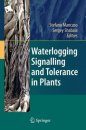 Waterlogging Signalling and Tolerance in Plants
