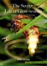 The Secret Life of Glow-worms