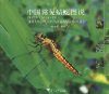Photo Atlas of the Usual China Dragonflies [Chinese]