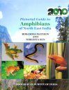 Pictorial Guide to the Amphibians of North East India
