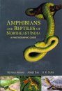 Amphibians and Reptiles of Northeast India