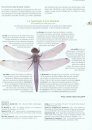 Libellules du Poitou-Charentes [Dragonflies of Poitou-Charentes]