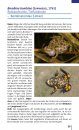 Taschenlexikon der Amphibien und Reptilien Europas