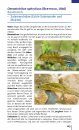 Taschenlexikon der Amphibien und Reptilien Europas