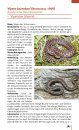 Taschenlexikon der Amphibien und Reptilien Europas