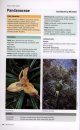Field Guide to the Plants of East Sabah