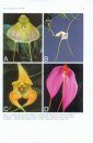 Flora of Ecuador, Volume 84, Part 225 (9): Orchidaceae (Masdevallia and Affiliates)