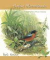 Safari Sketchbook