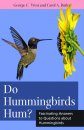 Do Hummingbirds Hum?
