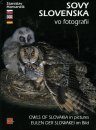 Owls of Slovakia in Pictures / Eulen der Slowakei in Bild / Sovy Slovenska vo Fotografii
