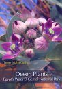 Desert Plants of Egypt's Wadi El Gemal National Park
