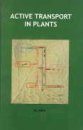Active Transport in Plants