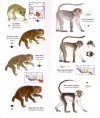 Primates of West Africa