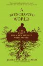 A Reenchanted World