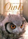 A Delight of Owls